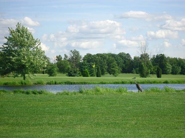 Course Photos Whiteford Valley Golf Course